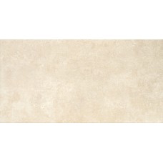 Плитка 31*60 GARD VISON